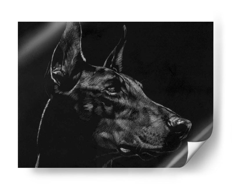 Scratchboard Canino Xvi - Julie T. Chapman | Cuadro decorativo de Canvas Lab