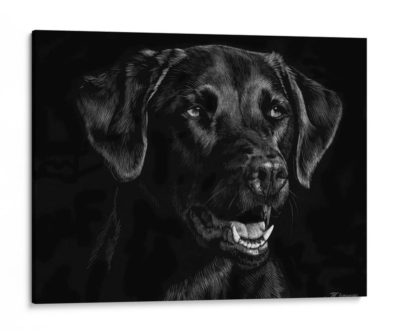 Scratchboard Canino Xvii - Julie T. Chapman | Cuadro decorativo de Canvas Lab