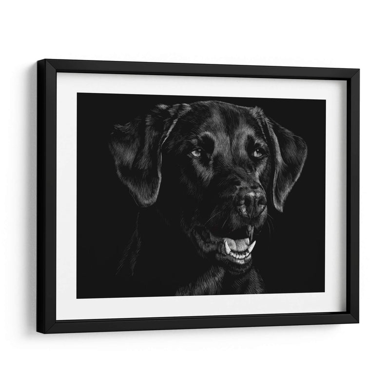 Scratchboard Canino Xvii - Julie T. Chapman | Cuadro decorativo de Canvas Lab