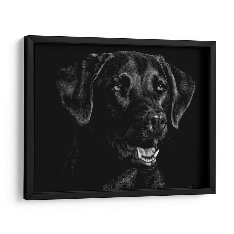 Scratchboard Canino Xvii - Julie T. Chapman | Cuadro decorativo de Canvas Lab