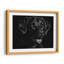 Scratchboard Canino Xvii - Julie T. Chapman | Cuadro decorativo de Canvas Lab