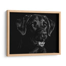Scratchboard Canino Xvii - Julie T. Chapman | Cuadro decorativo de Canvas Lab