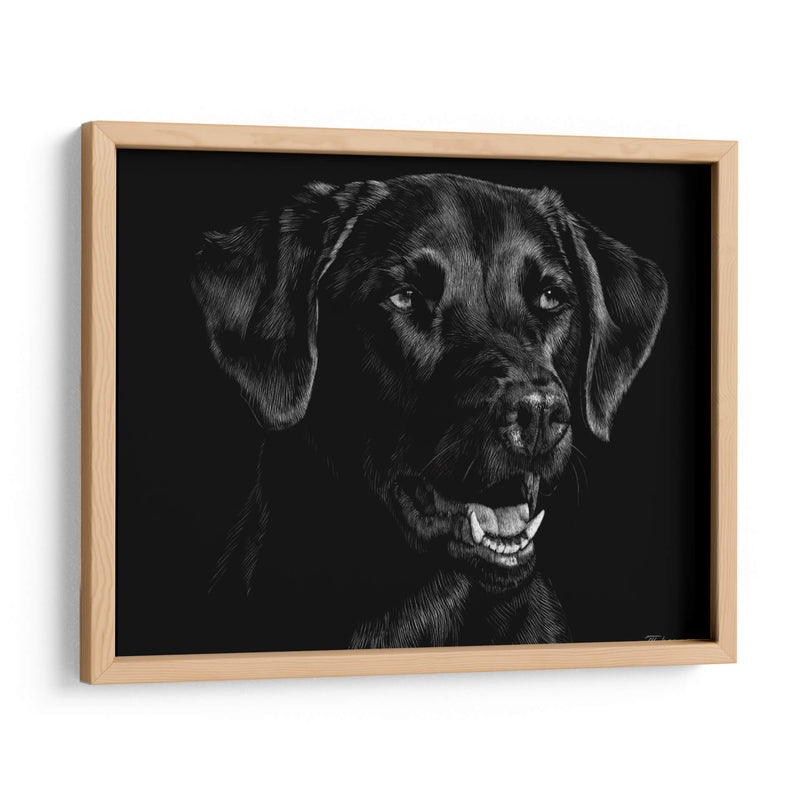 Scratchboard Canino Xvii - Julie T. Chapman | Cuadro decorativo de Canvas Lab