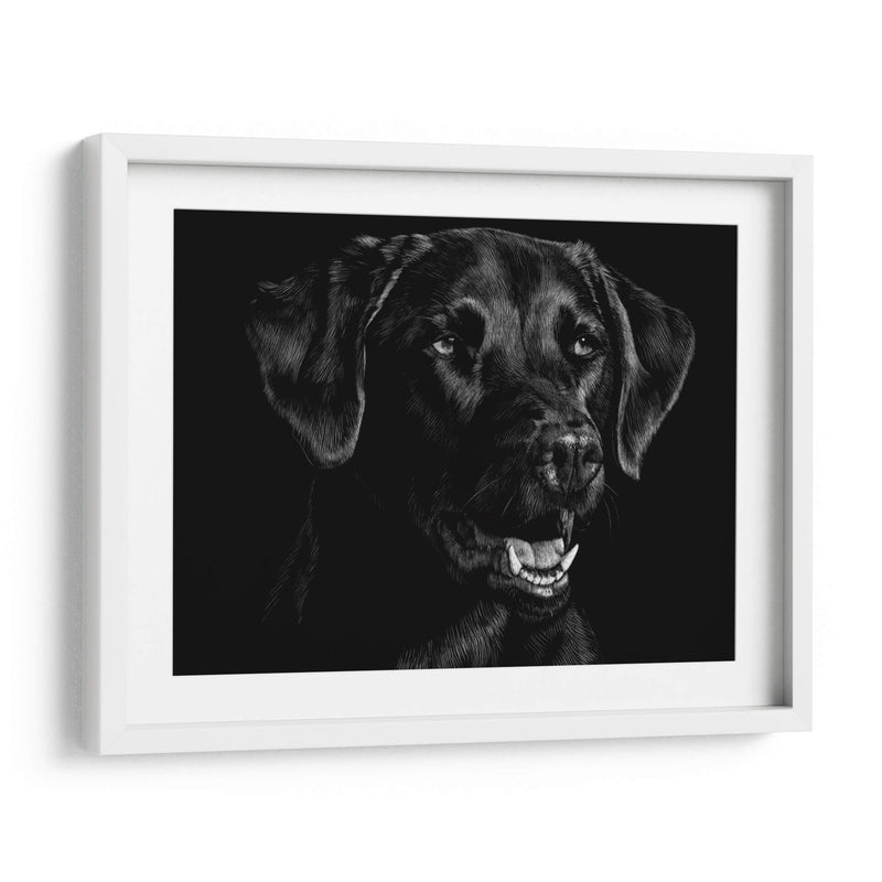 Scratchboard Canino Xvii - Julie T. Chapman | Cuadro decorativo de Canvas Lab