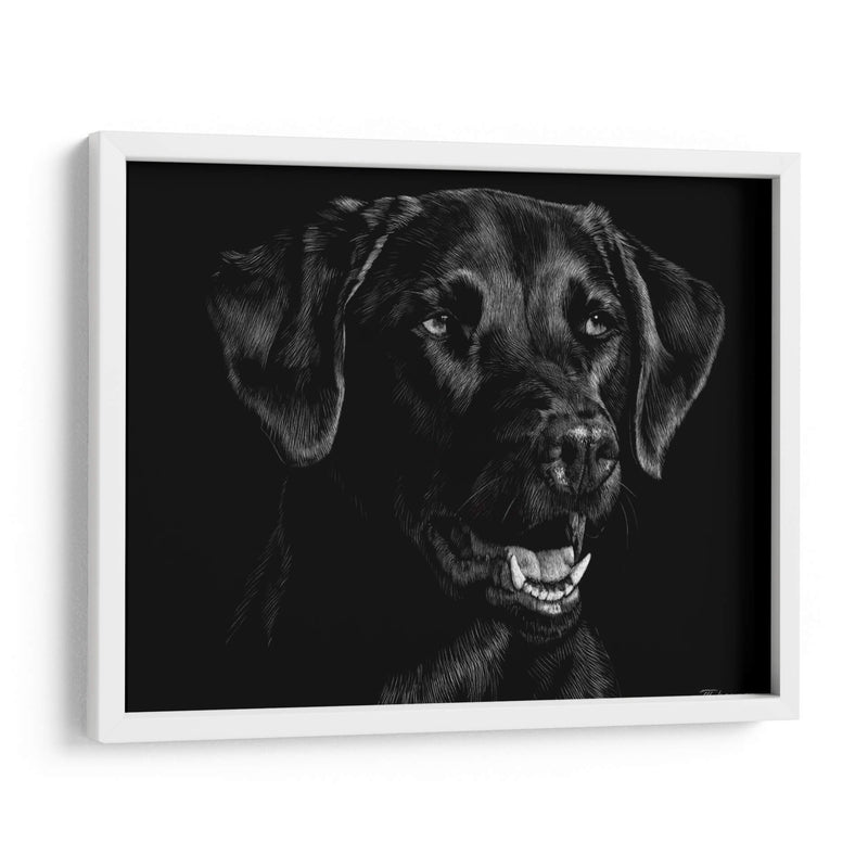 Scratchboard Canino Xvii - Julie T. Chapman | Cuadro decorativo de Canvas Lab