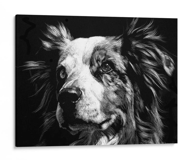 Scratchboard Canino Xx - Julie T. Chapman | Cuadro decorativo de Canvas Lab