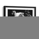 Scratchboard Canino Xx - Julie T. Chapman | Cuadro decorativo de Canvas Lab