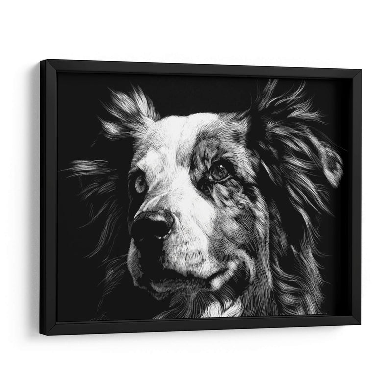 Scratchboard Canino Xx - Julie T. Chapman | Cuadro decorativo de Canvas Lab