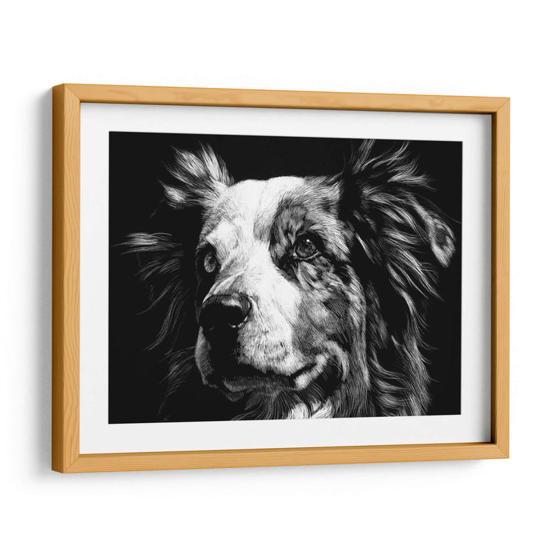 Scratchboard Canino Xx - Julie T. Chapman | Cuadro decorativo de Canvas Lab