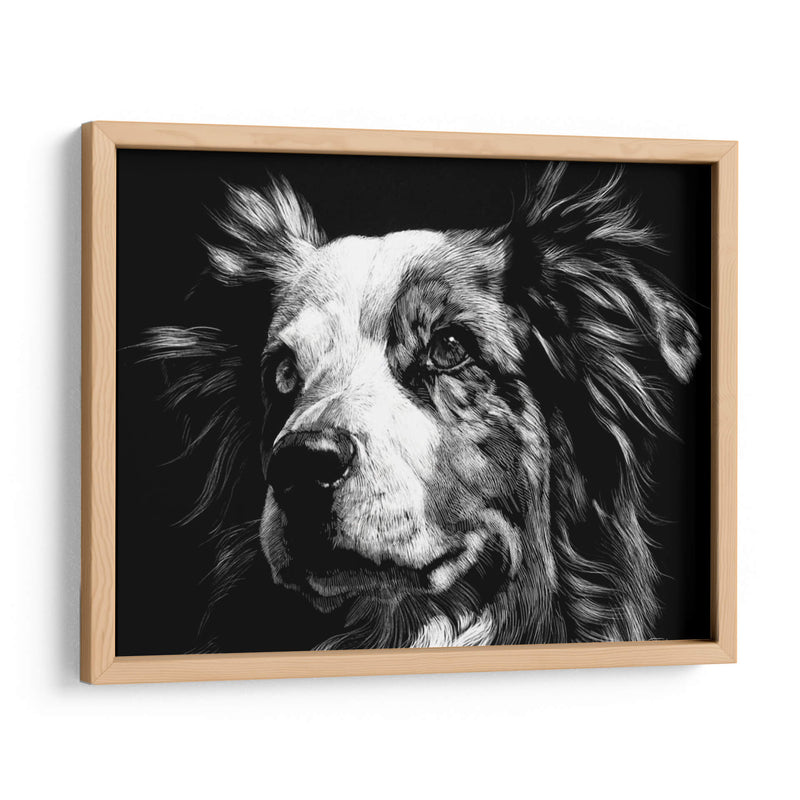 Scratchboard Canino Xx - Julie T. Chapman | Cuadro decorativo de Canvas Lab