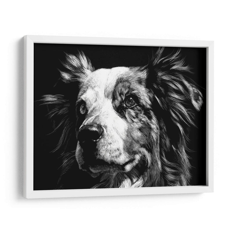 Scratchboard Canino Xx - Julie T. Chapman | Cuadro decorativo de Canvas Lab