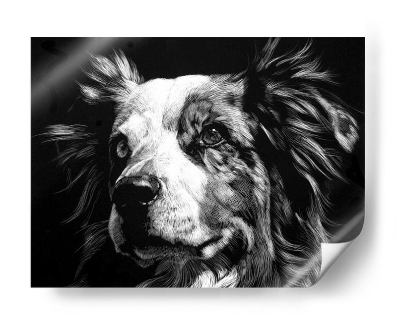 Scratchboard Canino Xx - Julie T. Chapman | Cuadro decorativo de Canvas Lab