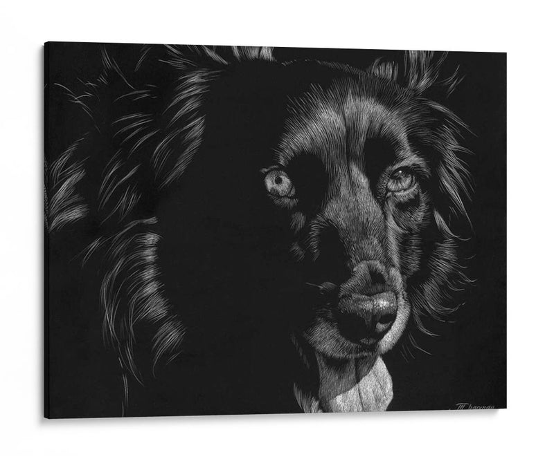 Canino Scratchboard Xxi - Julie T. Chapman | Cuadro decorativo de Canvas Lab