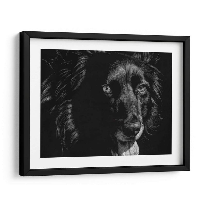 Canino Scratchboard Xxi - Julie T. Chapman | Cuadro decorativo de Canvas Lab