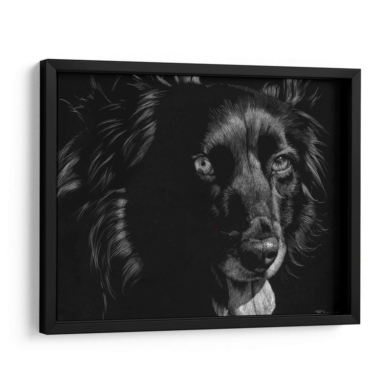 Canino Scratchboard Xxi - Julie T. Chapman | Cuadro decorativo de Canvas Lab