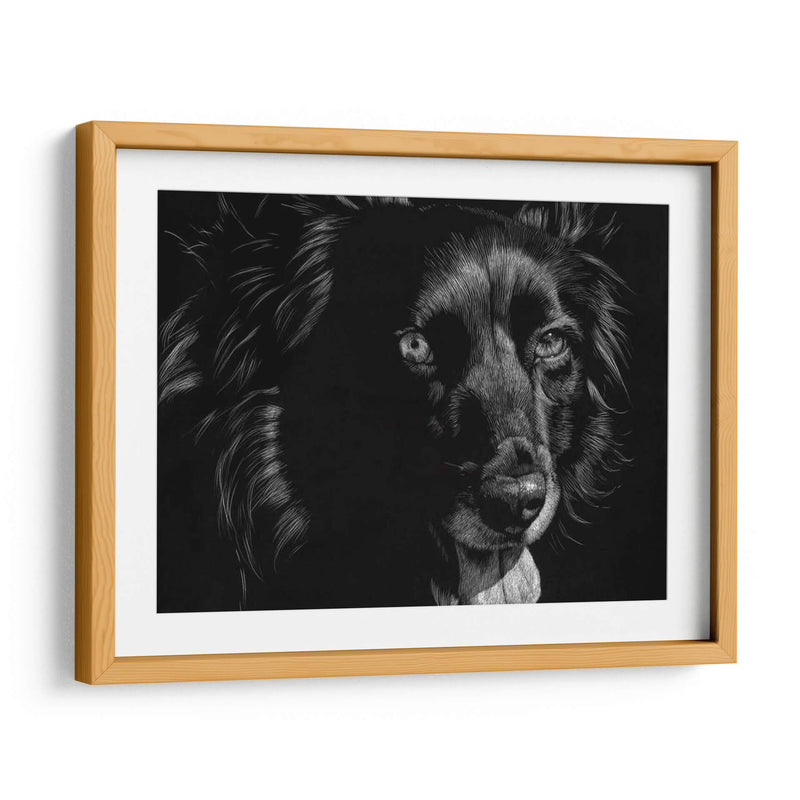 Canino Scratchboard Xxi - Julie T. Chapman | Cuadro decorativo de Canvas Lab