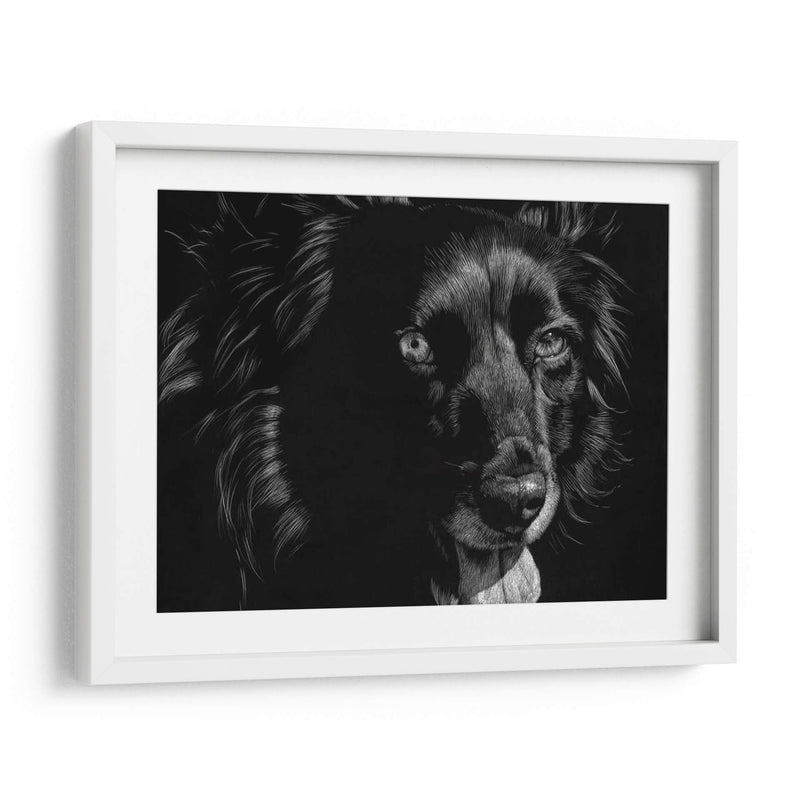 Canino Scratchboard Xxi - Julie T. Chapman | Cuadro decorativo de Canvas Lab