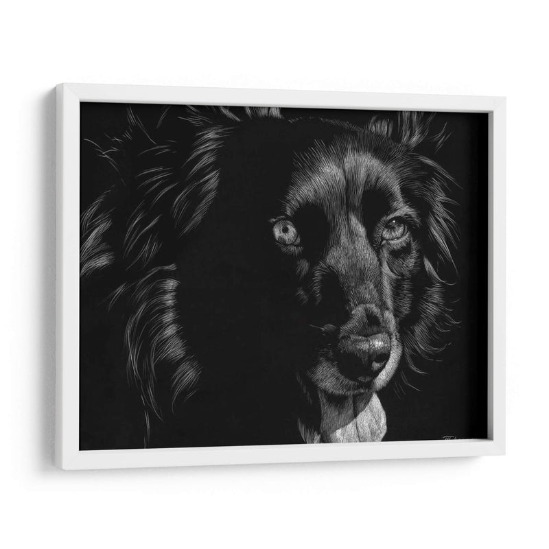 Canino Scratchboard Xxi - Julie T. Chapman | Cuadro decorativo de Canvas Lab