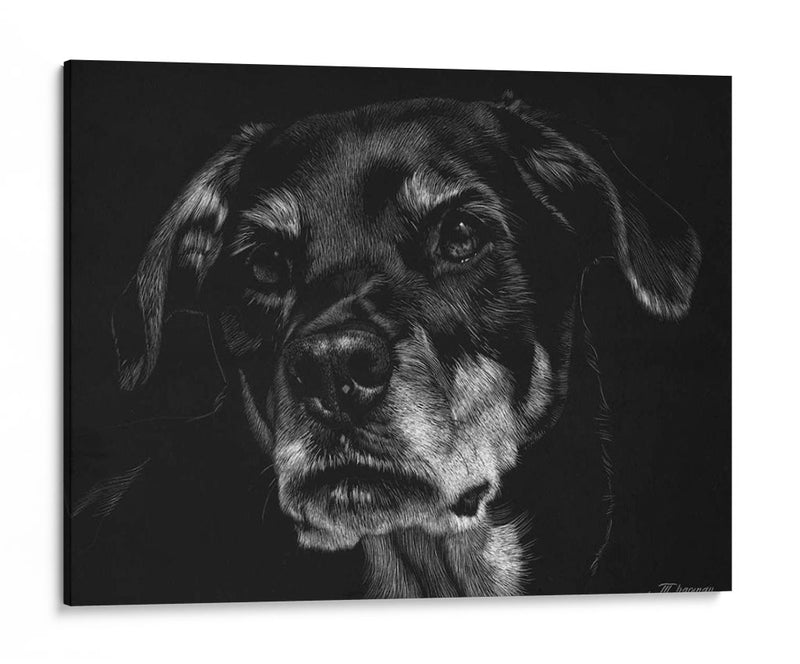 Scratchboard Canino Xxii - Julie T. Chapman | Cuadro decorativo de Canvas Lab