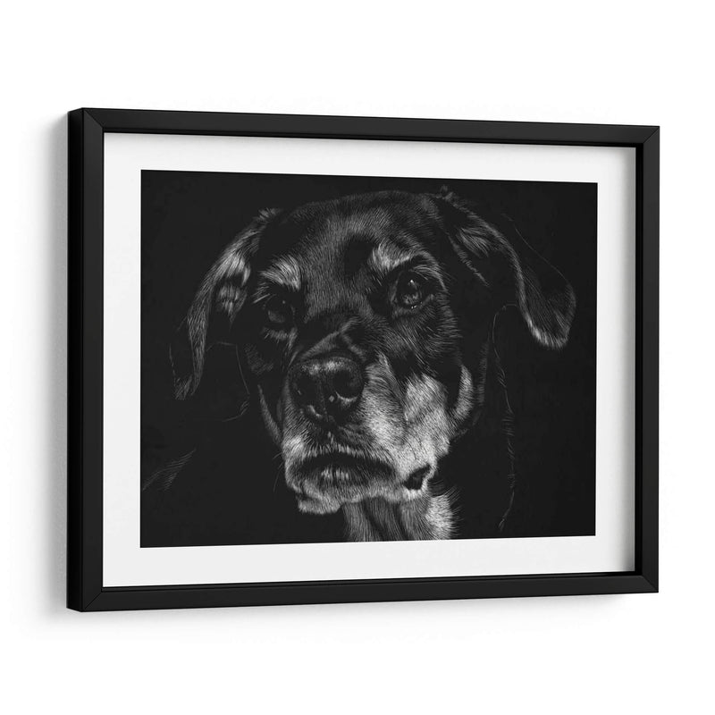 Scratchboard Canino Xxii - Julie T. Chapman | Cuadro decorativo de Canvas Lab