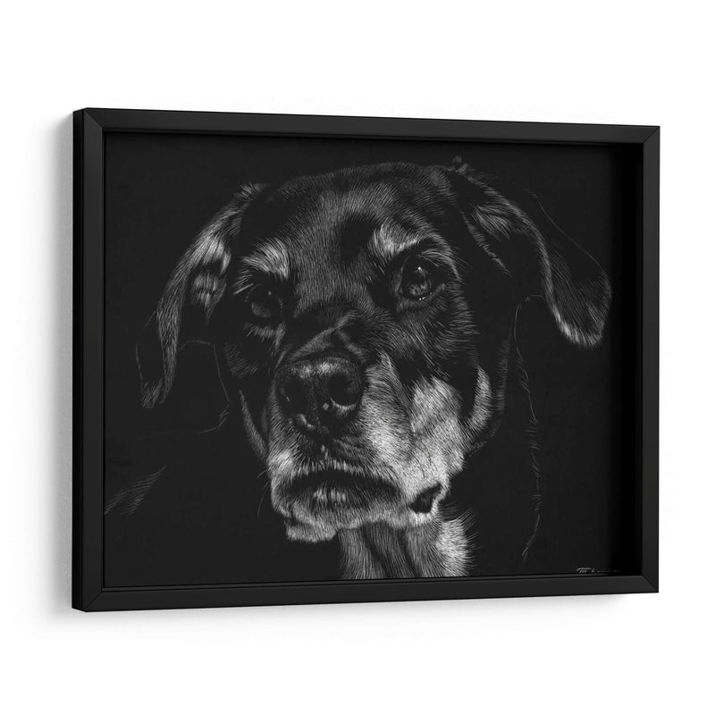 Scratchboard Canino Xxii - Julie T. Chapman | Cuadro decorativo de Canvas Lab