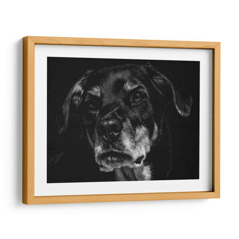 Scratchboard Canino Xxii - Julie T. Chapman | Cuadro decorativo de Canvas Lab