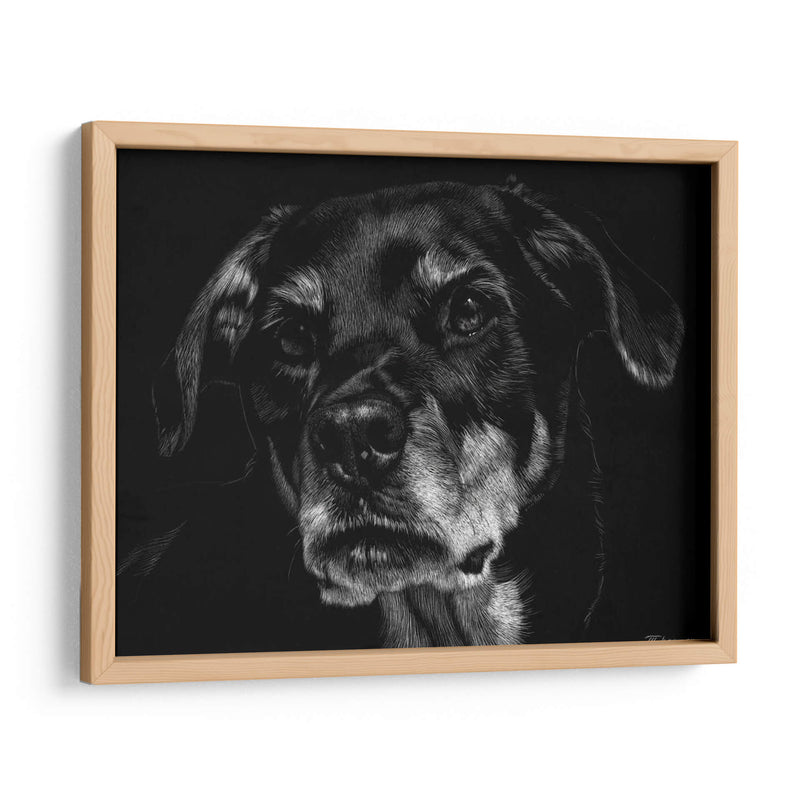 Scratchboard Canino Xxii - Julie T. Chapman | Cuadro decorativo de Canvas Lab