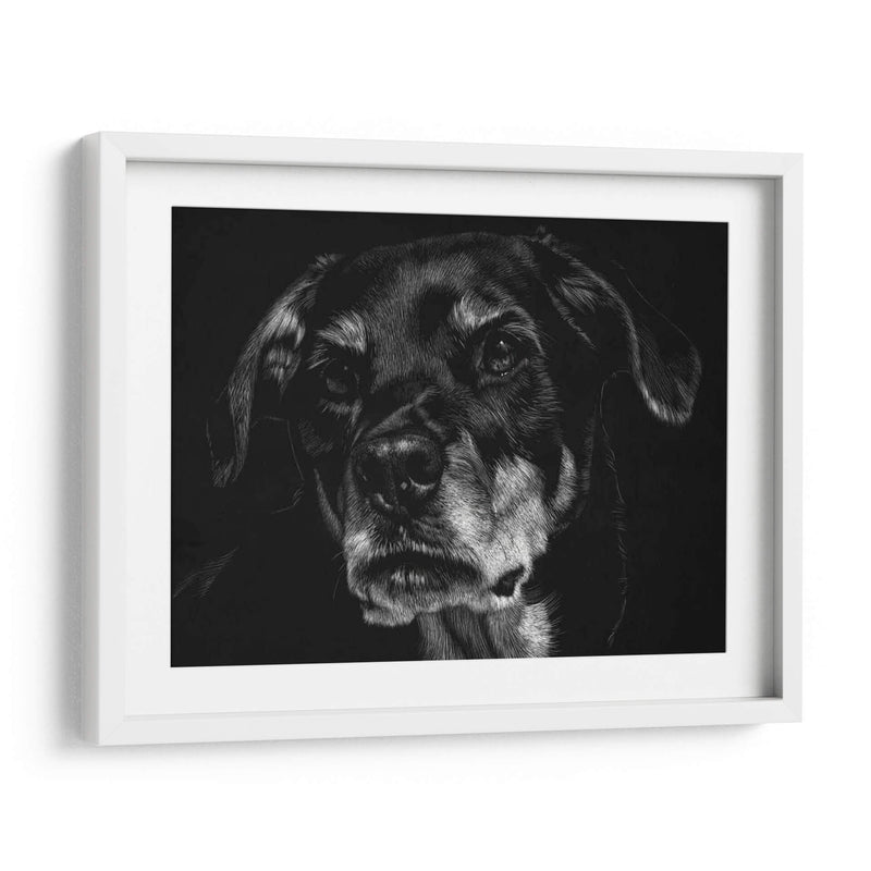 Scratchboard Canino Xxii - Julie T. Chapman | Cuadro decorativo de Canvas Lab