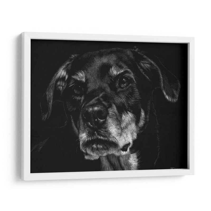 Scratchboard Canino Xxii - Julie T. Chapman | Cuadro decorativo de Canvas Lab