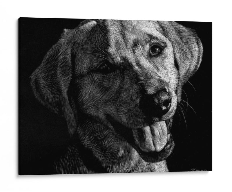 Canino Scratchboard Xxiii - Julie T. Chapman | Cuadro decorativo de Canvas Lab