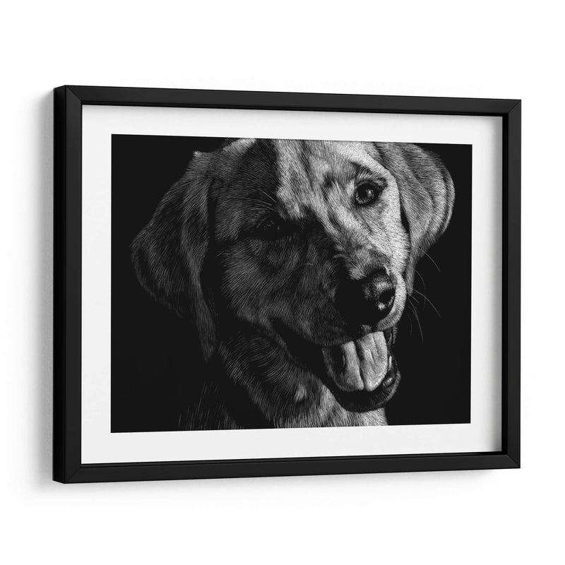 Canino Scratchboard Xxiii - Julie T. Chapman | Cuadro decorativo de Canvas Lab