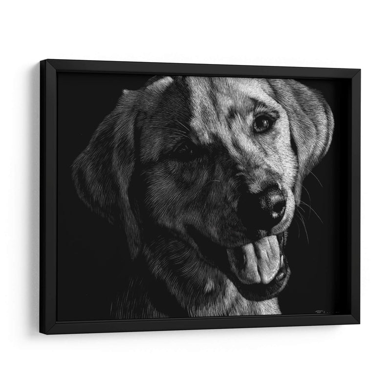 Canino Scratchboard Xxiii - Julie T. Chapman | Cuadro decorativo de Canvas Lab