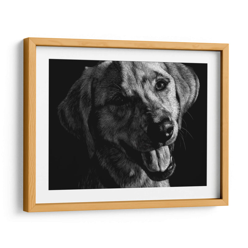 Canino Scratchboard Xxiii - Julie T. Chapman | Cuadro decorativo de Canvas Lab