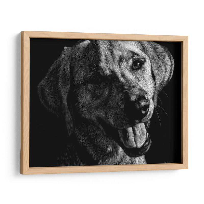 Canino Scratchboard Xxiii - Julie T. Chapman | Cuadro decorativo de Canvas Lab