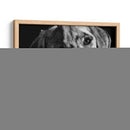 Canino Scratchboard Xxiii - Julie T. Chapman | Cuadro decorativo de Canvas Lab