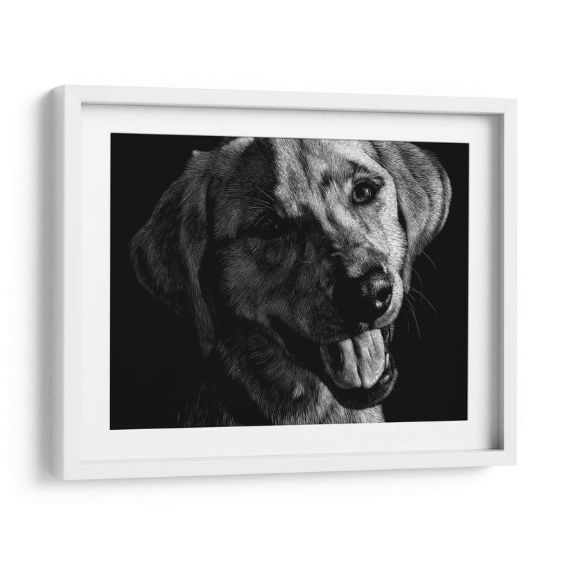 Canino Scratchboard Xxiii - Julie T. Chapman | Cuadro decorativo de Canvas Lab