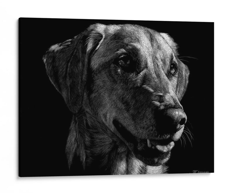 Scratco Canino Xxiv - Julie T. Chapman | Cuadro decorativo de Canvas Lab