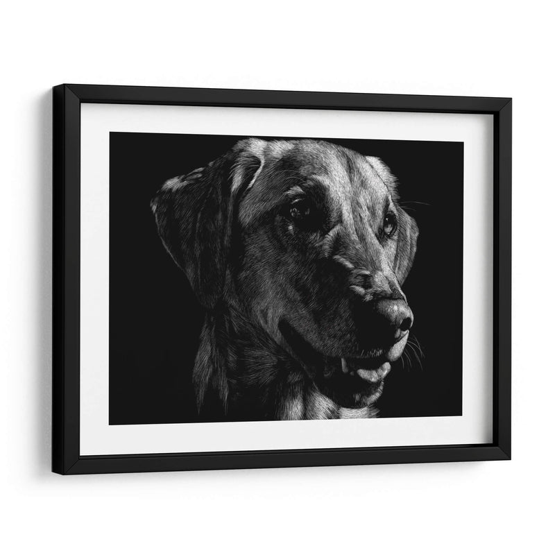 Scratco Canino Xxiv - Julie T. Chapman | Cuadro decorativo de Canvas Lab