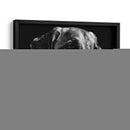 Scratco Canino Xxiv - Julie T. Chapman | Cuadro decorativo de Canvas Lab