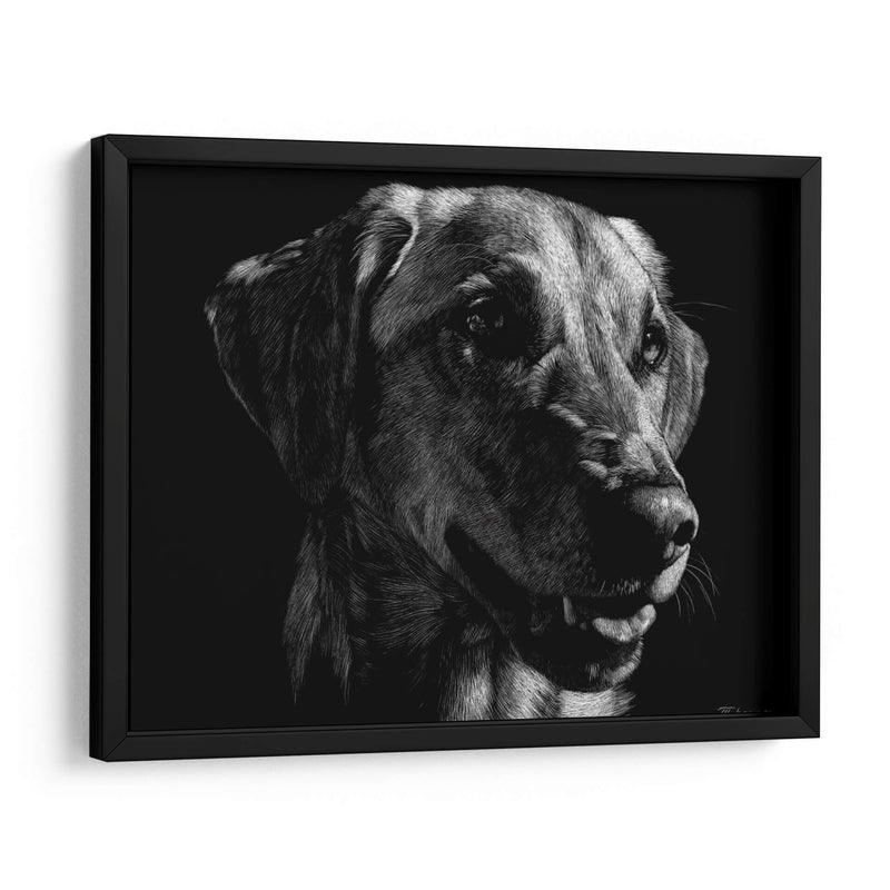 Scratco Canino Xxiv - Julie T. Chapman | Cuadro decorativo de Canvas Lab