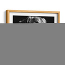 Scratco Canino Xxiv - Julie T. Chapman | Cuadro decorativo de Canvas Lab