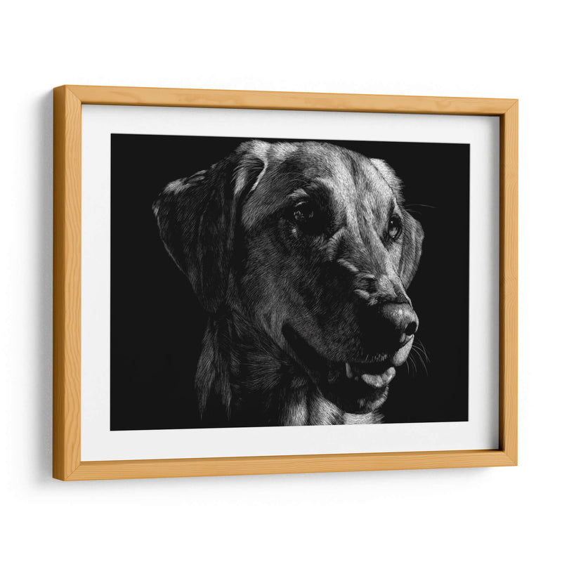 Scratco Canino Xxiv - Julie T. Chapman | Cuadro decorativo de Canvas Lab