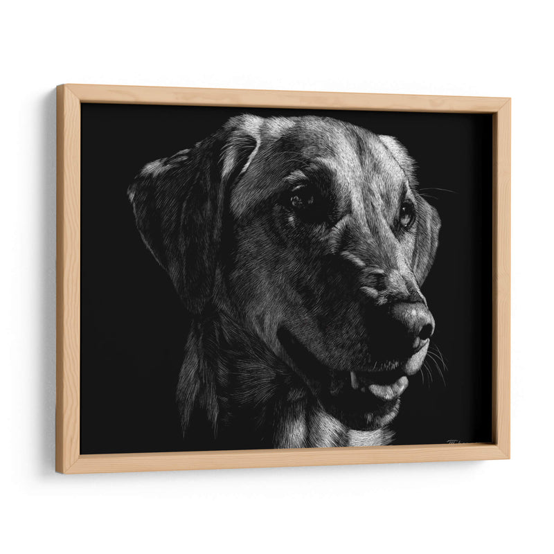 Scratco Canino Xxiv - Julie T. Chapman | Cuadro decorativo de Canvas Lab