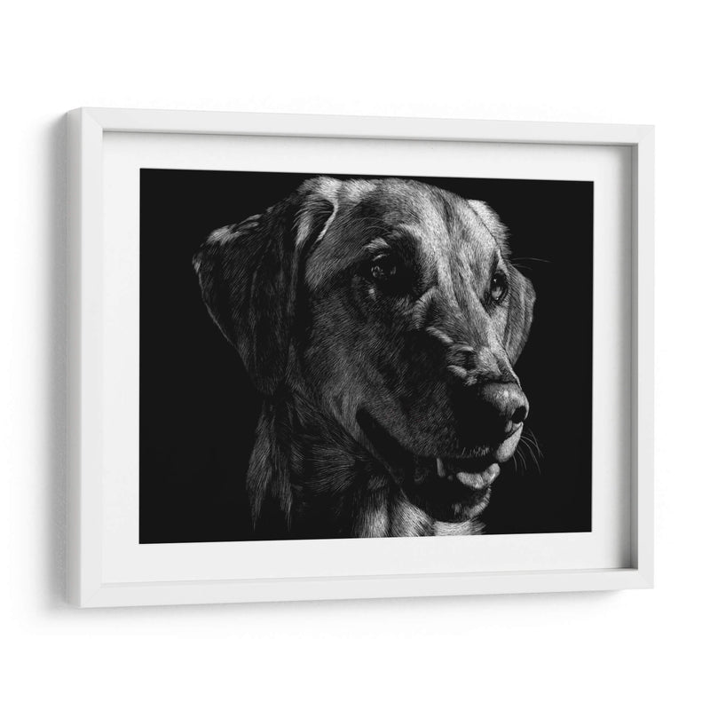 Scratco Canino Xxiv - Julie T. Chapman | Cuadro decorativo de Canvas Lab