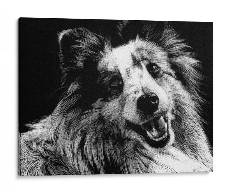 Canino Scratchboard Xxvi - Julie T. Chapman | Cuadro decorativo de Canvas Lab