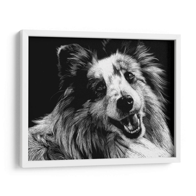 Canino Scratchboard Xxvi - Julie T. Chapman | Cuadro decorativo de Canvas Lab