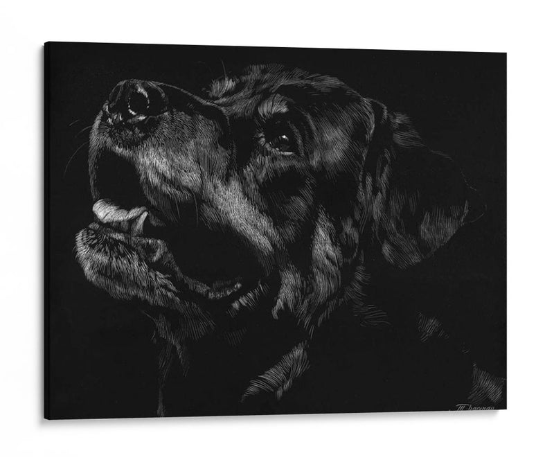 Scratchboard Canino Xxvii - Julie T. Chapman | Cuadro decorativo de Canvas Lab