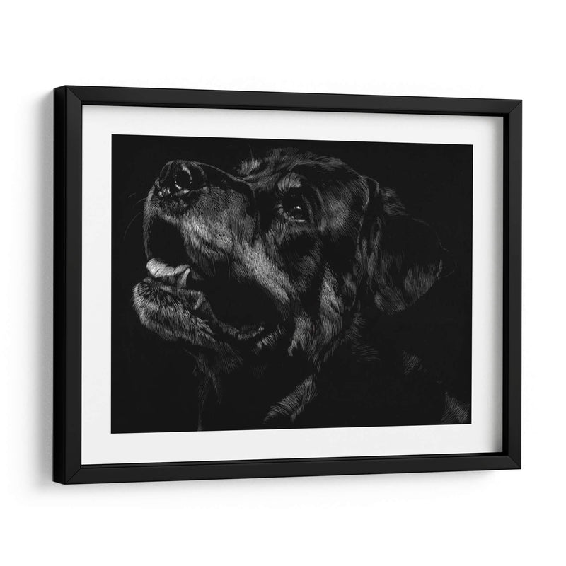 Scratchboard Canino Xxvii - Julie T. Chapman | Cuadro decorativo de Canvas Lab