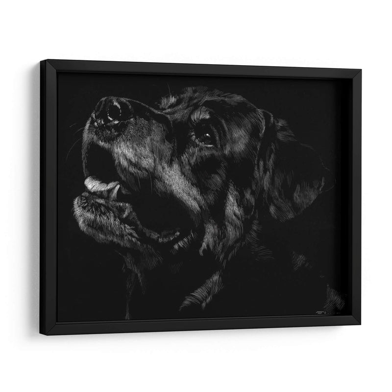 Scratchboard Canino Xxvii - Julie T. Chapman | Cuadro decorativo de Canvas Lab