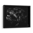 Scratchboard Canino Xxvii - Julie T. Chapman | Cuadro decorativo de Canvas Lab